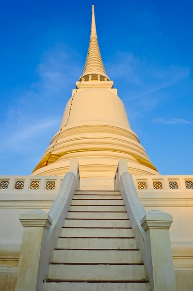 Vit pagod — Stockfoto