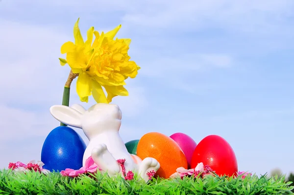 Easter bunny on flower meadow 03 — Stock Photo, Image