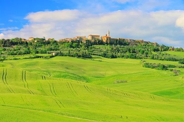 Pienza in Tuscany, Italy — Stockfoto