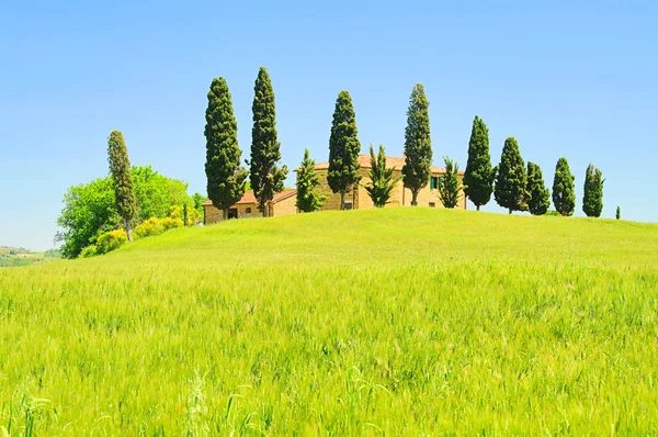 Podere. Il paesaggio della Toscana. Italia — Foto Stock