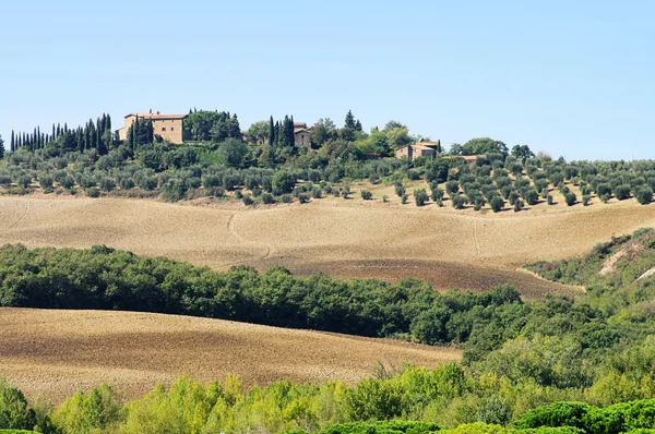 Podere in fall 14 — Stock Photo, Image