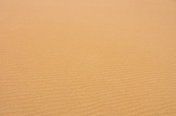 Dune detail 04 — Stok fotoğraf