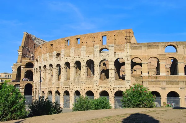 Rom Coliseo 06 — Foto de Stock
