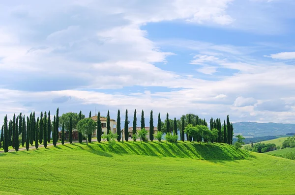 Viale dei Cipressi in Toscana — Foto Stock