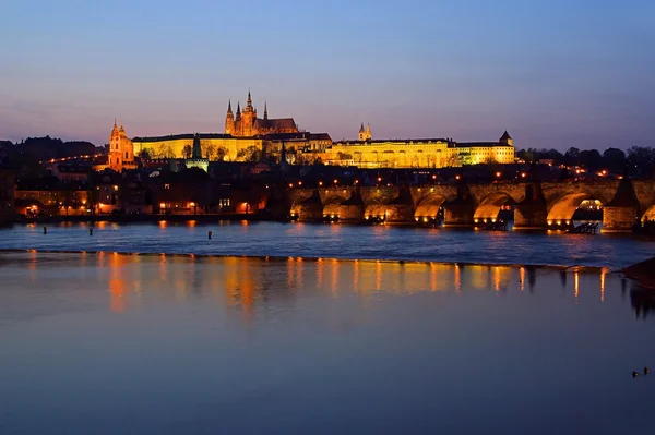 Praga cattedrale notte 03 — Foto Stock