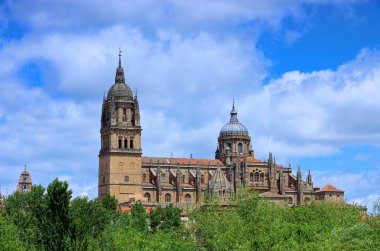 Salamanca cathedral 01