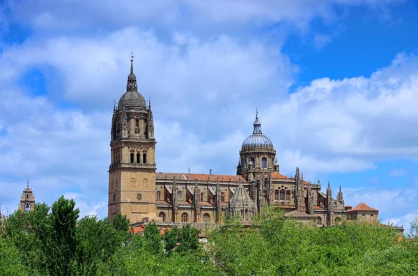 Catedral de Salamanca 01 — Fotografia de Stock
