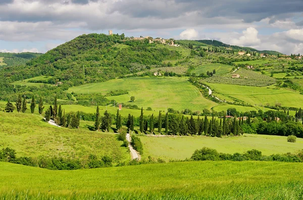 Monticciello 03 Tuscany — стоковое фото
