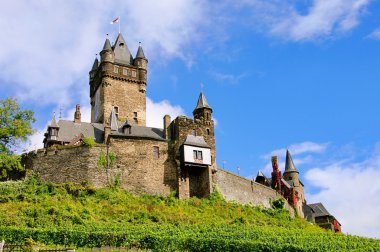 Cochem Castle 11