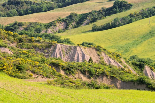 stock image Crete Senesi 03