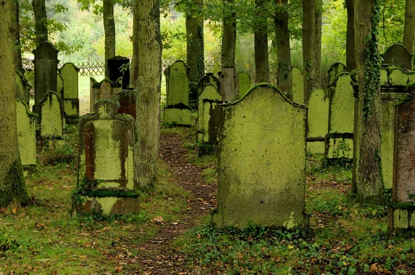 Еврейское кладбище 01 — стоковое фото