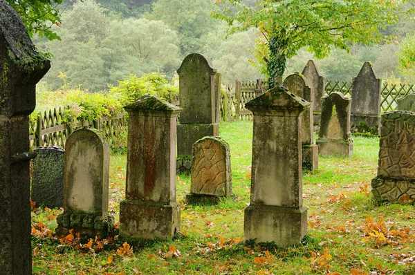 유태인 묘지 14 — 스톡 사진