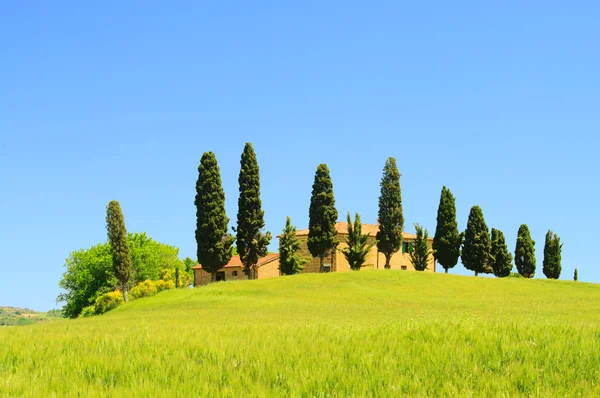 Casa Toscana e Cipressi sul campo, Italia — Foto Stock