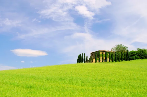 トスカーナの家と野原のサイプレスの木,イタリア — ストック写真