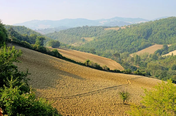 stock image Umbria field in fall 01