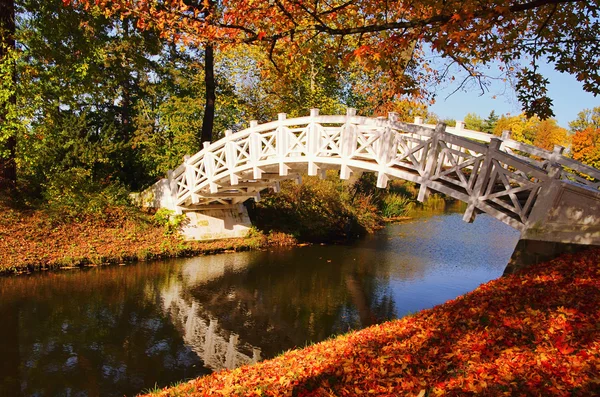 ヴェルリッツの英国庭園白い橋 26 — ストック写真