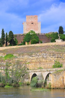 Ciudad Rodrigo 02 clipart