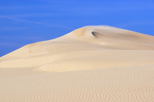 Dune du Pyla 14 — Stock Photo, Image
