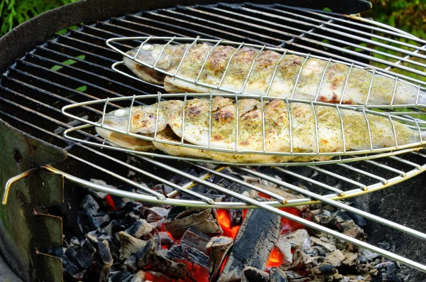 Grilling trout 08 — Stock Photo, Image