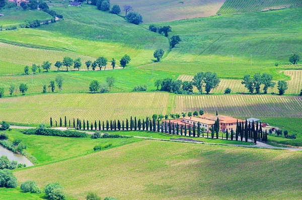 Toscaanse groene heuvels in Italië — Stockfoto
