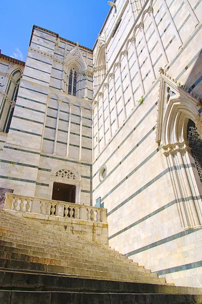 Siena katedrála detail 03 — Stock fotografie