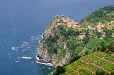 Cinque Terre Corniglia 01