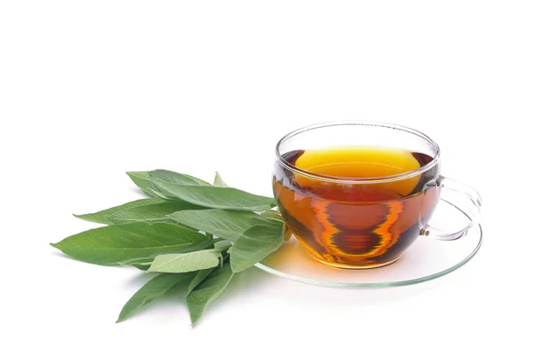 Herbaty szałwi 10 — Zdjęcie stockowe