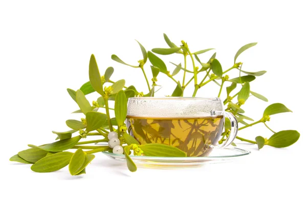 Tea mistletoe 06 — Stock Photo, Image
