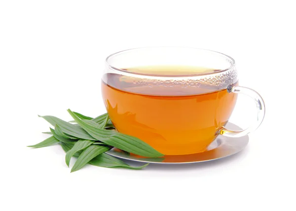 Tea ribwort plantain 03 — Stock Photo, Image