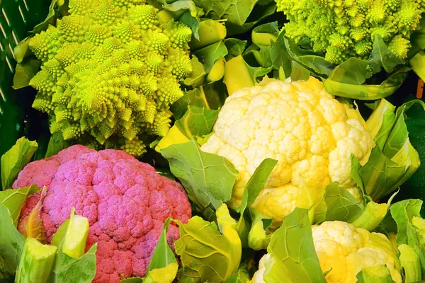 Cauliflower 02 — Stock Photo, Image