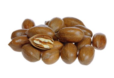 Pecan nut 02 clipart