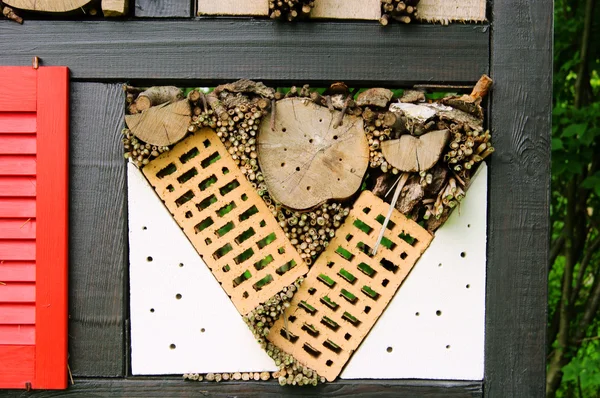 stock image Insect hotel 05