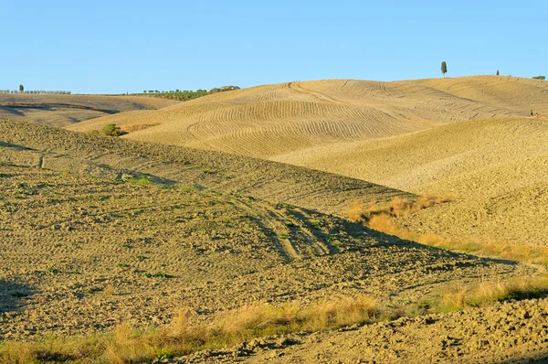 Toscana mark för odling 02 — Stockfoto