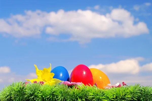 Easter eggs on flower meadow and sky 09 — Stok fotoğraf
