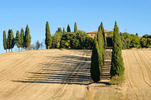 Podere in fall 12 — Stock Photo, Image