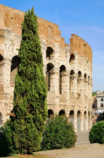 ROM Colosseum 01 — Stok fotoğraf