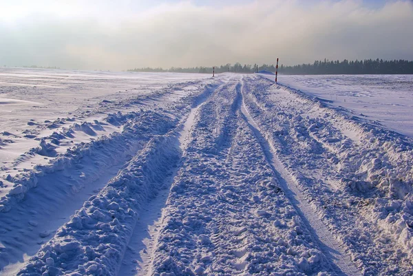 Дорога зимой 11 — стоковое фото
