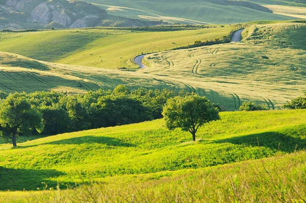 Toskana huegel - wzgórza Toskanii 54 — Zdjęcie stockowe