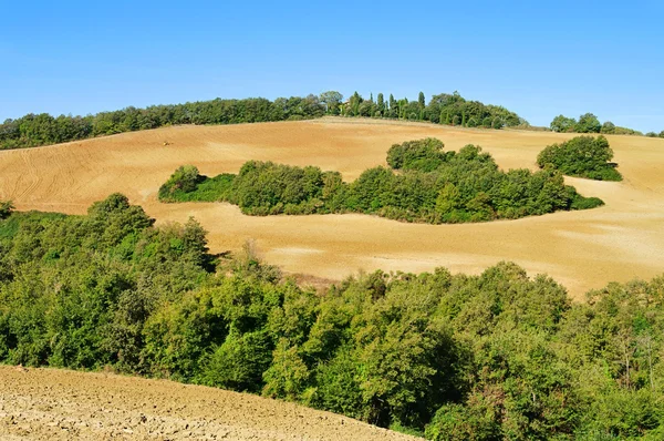 Colinas da Toscana no outono 05 — Fotografia de Stock