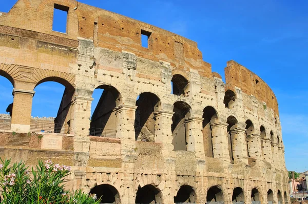Rom Colosseum 07 Royaltyfria Stockfoton