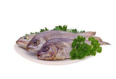 baş çipura 16 GILT Tarih: