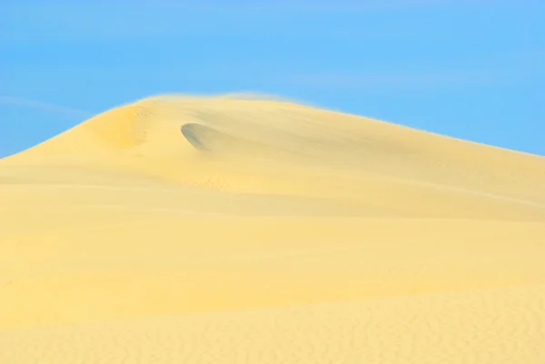 Dune du Pyla 16 — Stock Photo, Image