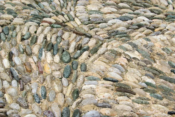 Pebble stone 02 — Stock Photo, Image