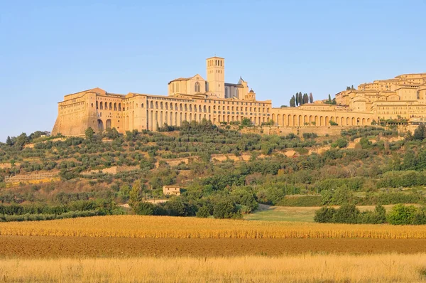 Assisi 16 — Stock Photo, Image