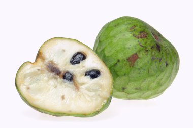 Cherimoya 11