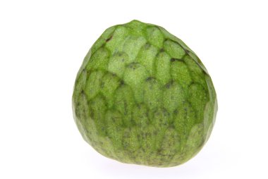 Cherimoya 17