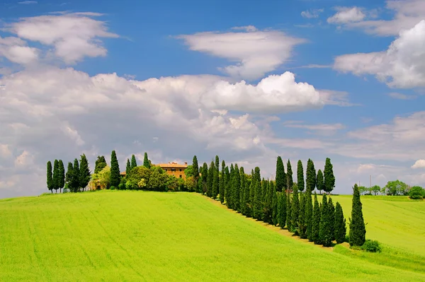 Tuscan çiftlik evi ve servi ağaçları bir tepe üzerinde — Stok fotoğraf