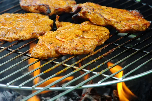 Grill - barbecue 107 — Stockfoto