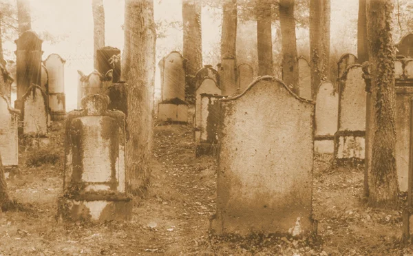 Ebraico cimitero 05 — Foto Stock