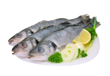 Seabass 01 clipart